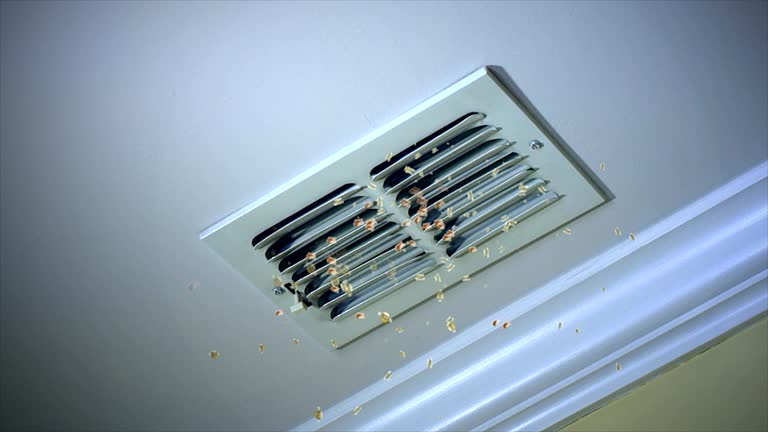 Best Commercial HVAC Duct Cleaning  in Ewa Villages, HI