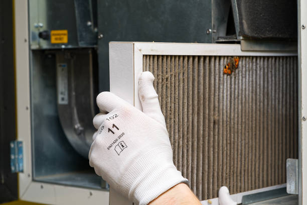Best Air Duct Sanitizing Services  in Ewa Villages, HI